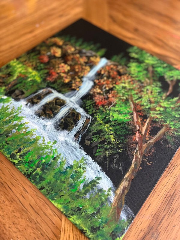 Fall and autumn colors